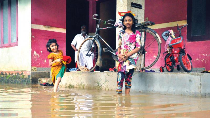 The untimely rain had different impact on different sets of people. While elders were impatient and sad, unable to go out, the children made the most of it by making temporary rafts. A scene from Chooralkkodi Vayalil, near Payyanakkal on Monday. (Photo: Viswajith K)