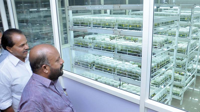 Agricultural minister V.S Sunilkumar and P.T Thomas, MLA, visit the tissue culture lab after the inauguration of its expansion at Rice Research Station in Kochi on Tuesday.(Photo: SUNOJ NINAN MATHEW)