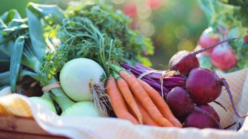 It helps people track their intake and tally up vegetable serves, with daily reminders and rewards to help people stay motivated and on-track. (Photo: Pexels)