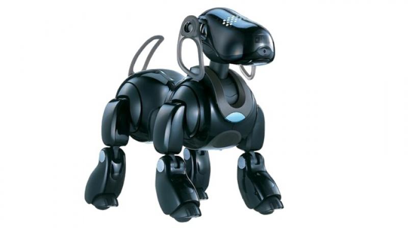 The re-born AIBO features new actuator technology allowing it move more smoothly and naturally like a real dog.