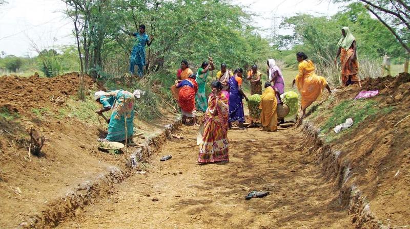 MGNREGA workers take up cleaning work in Sriperumbudur block. (Photo:DC)