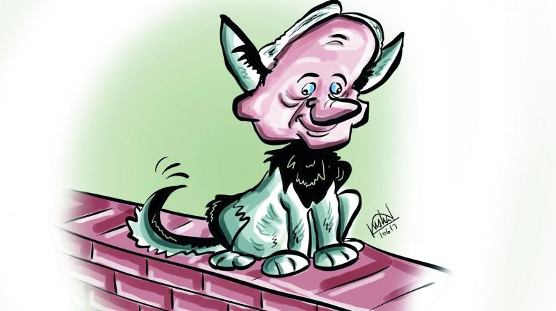 â€œNaveen is a wall-jumping cat. He is sitting on the middle wall between the UPA and the NDA. He will make his move once he sees which side has higher stake so far as presidential candidate selection is concerned,â€Mr Bahinipati said.