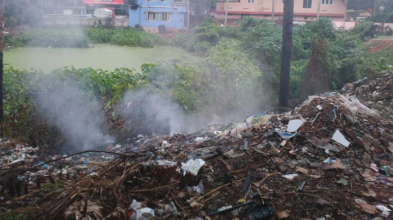 Plastic being burnt near Edappazhinji junction on Friday.