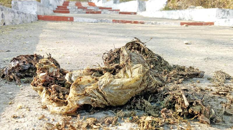 Polythene carry bags found in elephants dung at Anubhavi hill. (Photo: DC)