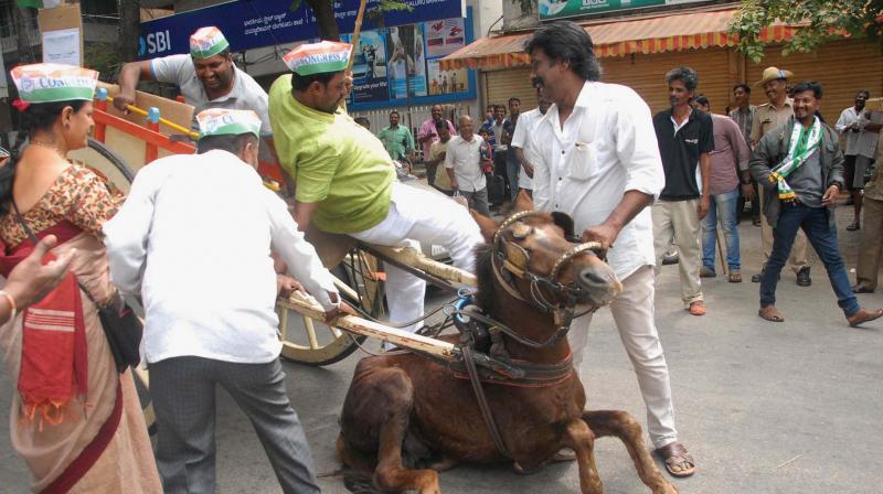 Congress workers fell off the tonga they were riding to protest against fuel price hike in Bengaluru, when the horse collapsed on the road, and activists ride a bullock cart in Belagavi in protest against  fuel price hike
