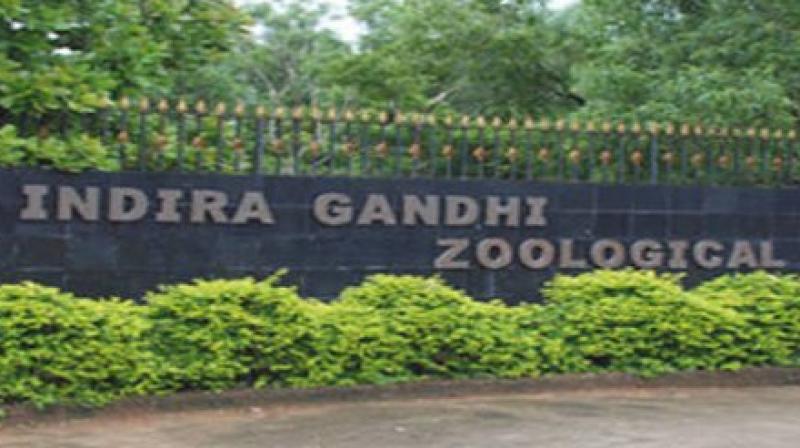 The Indira Gandhi Zoological Park has initiated steps to bring 10 different species of wild animals and birds.