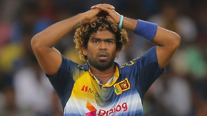 Sri Lanka Cricket appointed a three-member disciplinary committee with Lasith Malinga pleading guilty Tuesday to breaching his contract with the board by speaking to the media without permission. (Photo: AP)