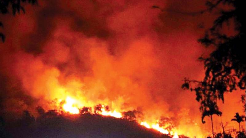 File photo of Kurangani forest fire