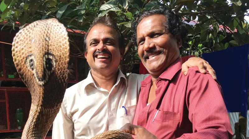 Dr Subair Medammal (left) and snake catcher Shamsudeen Cherpulassery pose with a king cobra.