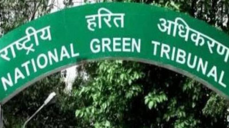 National Green Tribunal. (Photo: PTI/File)