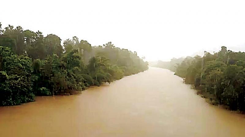 River Bhadra in spate at Balehonnur in Chikkamagaluru district on Wednesday following heavy rains.