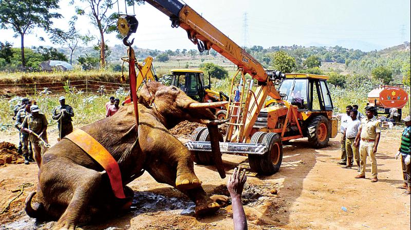 Karnataka: MEG chips in, builds gantry tower to make Sidda stand