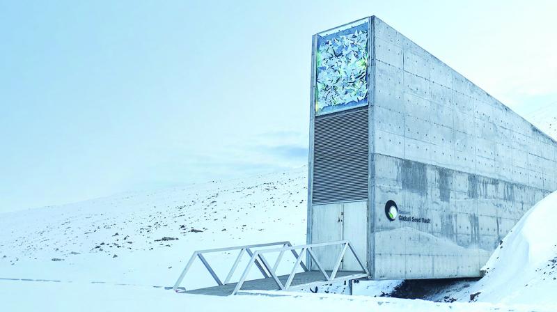 Global Seed Vault Global Seed Vault