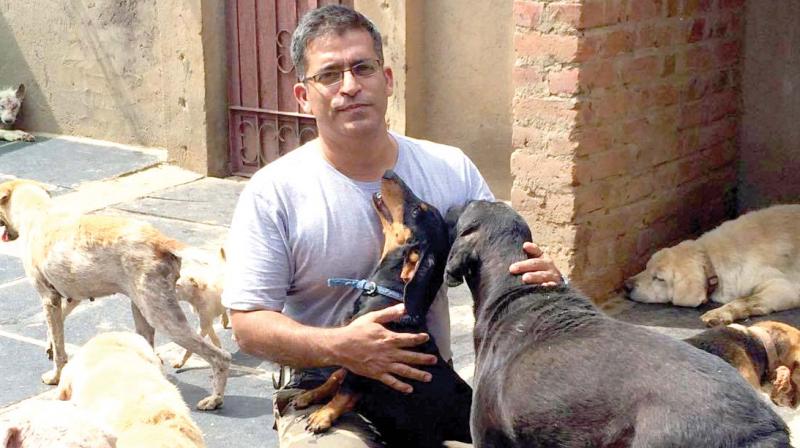 Rakesh Shukla with his rescue dogs.