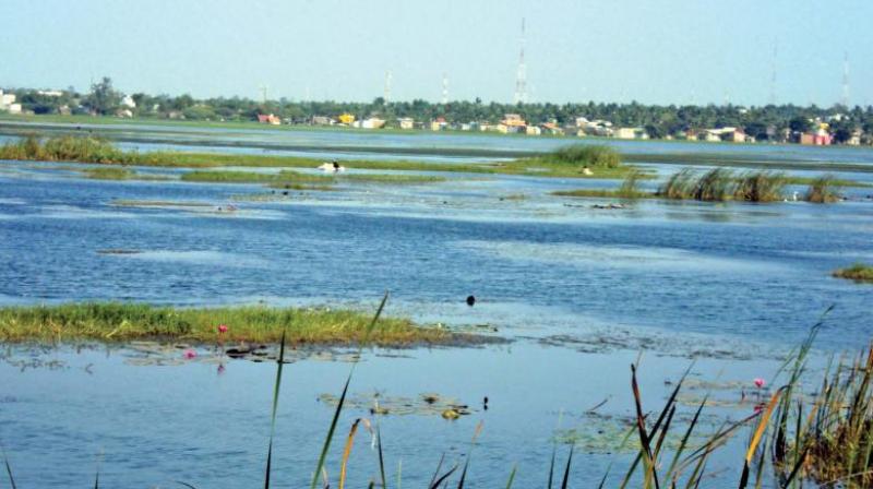The state, which has been silent over the status of its dying water bodies in greater Chennai, is all set to kick start a massive lakes restoration project.