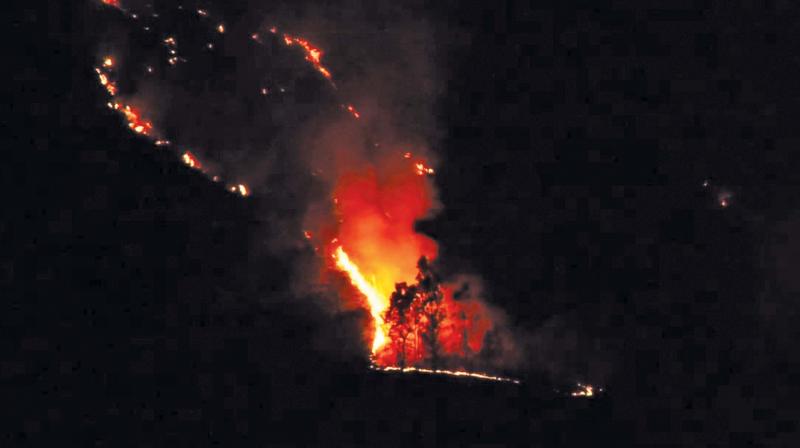 The wildfire that broke out on the Hulikal slopes near Coonoor on Monday night at 8 pm spread quickly along the slopes.