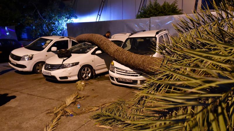 A palm tree trunk came crashing down on cars during the dust storm in New Delhi, on Sunday. (Photo: PTI)