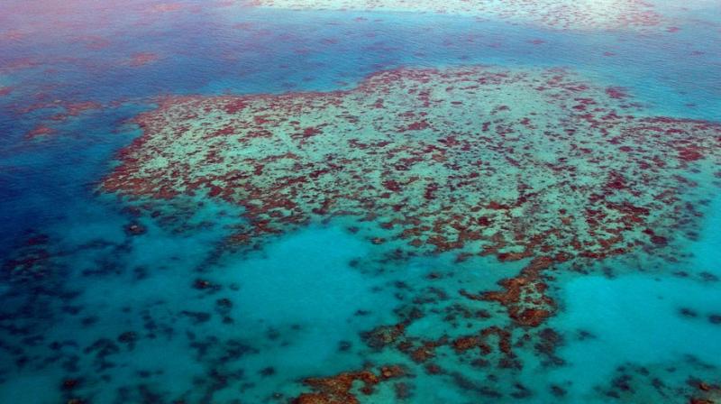 Great Barrier Reef(Representational Image)