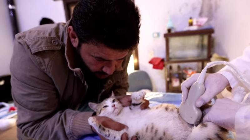 The shelter does more than provide twice-daily meals: It also serves as an animal clinic with its in-house vet. (Photo: VideoGrab/AFP)
