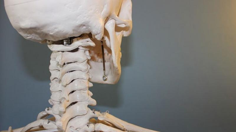 Bone density is the greatest when you are in your 20s, but after that you begin to lose bone mass, making your bones weaker and more susceptible to damage. (Representational Image)