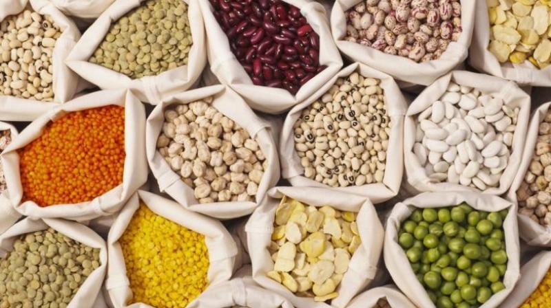 The government has approved domestic procurement of 10 lakh tonnes of pulses, comprising 5 lakh tonnes each in kharif and rabi marketing seasons.