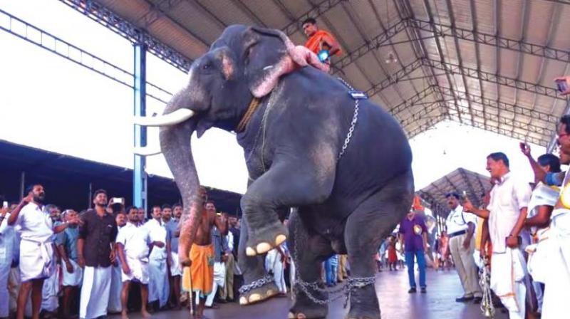The Madras High Court has held that utilising the elephants for blessing and receiving money in return is nothing but begging.