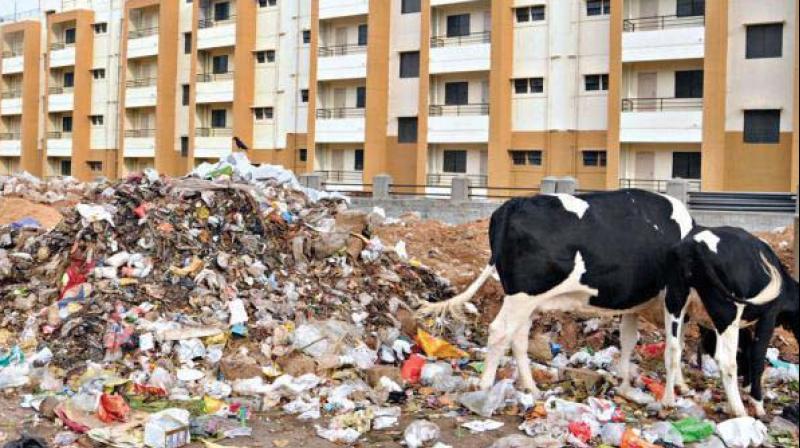 But now this luxury of choice will end as the BBMPs latest tender inviting bids from contractors has  exempted them from collecting the garbage of bulk generators like the apartment complexes.