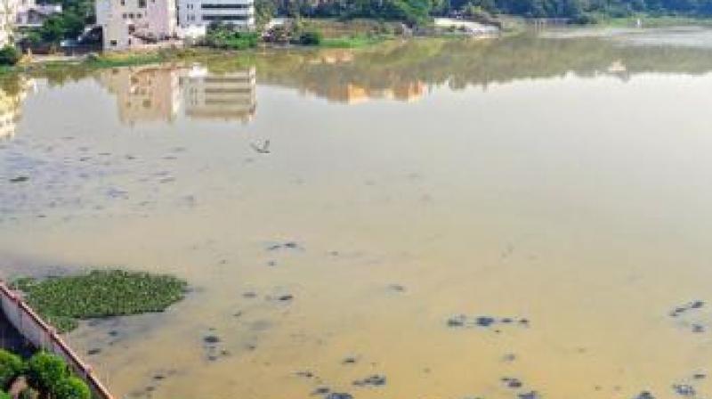 In a startling revelation, the residents cleaning the edge of Kaggadasapura Lake complained of inflow of sewage and the tussle between the BDA and BBMP to take the responsibility over desilting the lake. (Representational Image)