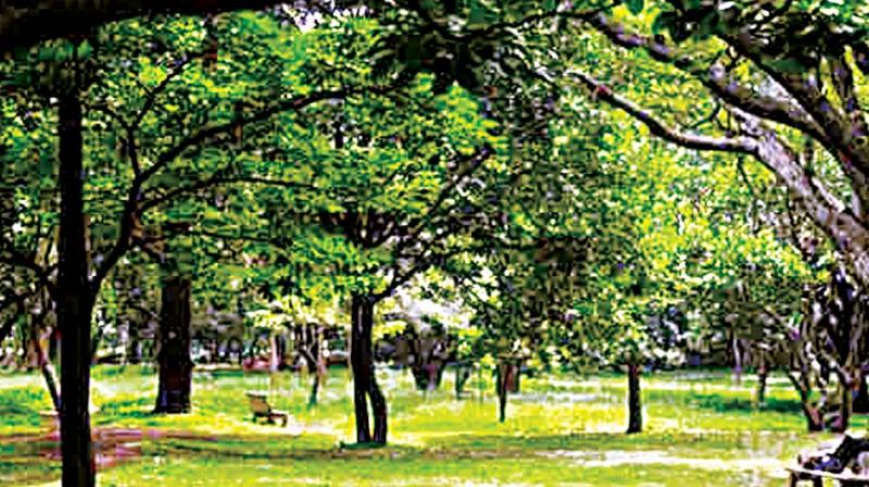 Murgod justified the park administrations move saying, \This is not a violation of the Parks Preservation Act, as it comes under the jurisdiction of the Horticulture Department. Toilets and drinking water facilities for public is exempt from this. Permanent construction ensures constant supply of filtered RO water.\
