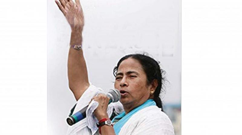 Didi: The Untold Mamata Banerjee by Shutapa Paul, Penguin Random House, Rs 299.