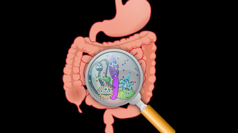 First gut bacteria may fight chronic diseases better. (Photo: Pixabay)