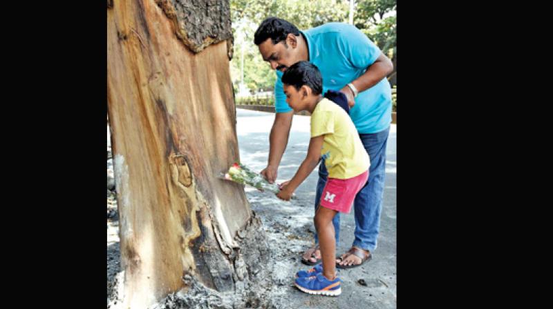 A father-son duo offer flowers in memory of Ashwin Sundar at the accident spot in Mylapore.