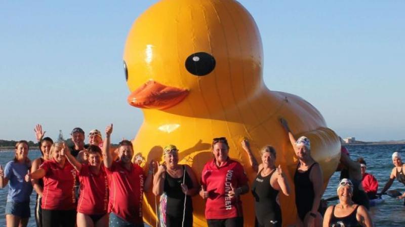 The duck, owned by Cockburn Masters Swimming Club, was last seen at Perths Coogee Beach. (Photo: AFP)