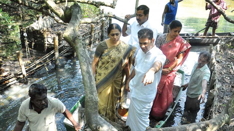 Mayor Soumini Jain and Hibi Eden, MLA, review the canal cleaning works at the Mangalavanam bird sanctuary on Thursday. (Photo: UNOJ NINAN MATHEW)