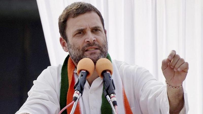 Gandhi earlier took a swipe at the BJP and the government over the latter extending legal help to Jay Shah in the defamation case. (Photo: PTI/File)