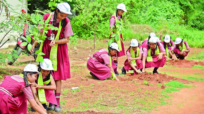 School children planting saplings as part of the Haritha Haram plantation drive at Shivam road on Wednesday. (Photo: DC)