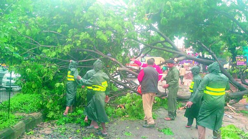 Clean up act: Workers cut through a fallen tree to clear the road for traffic. (Photo: DC)