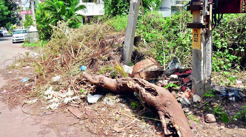 Branches of axed trees block  the drain at Revenue Colony in Vijayawada on Sunday. Residents complained about the inundated drains in the rainy season. (Photo: DC)