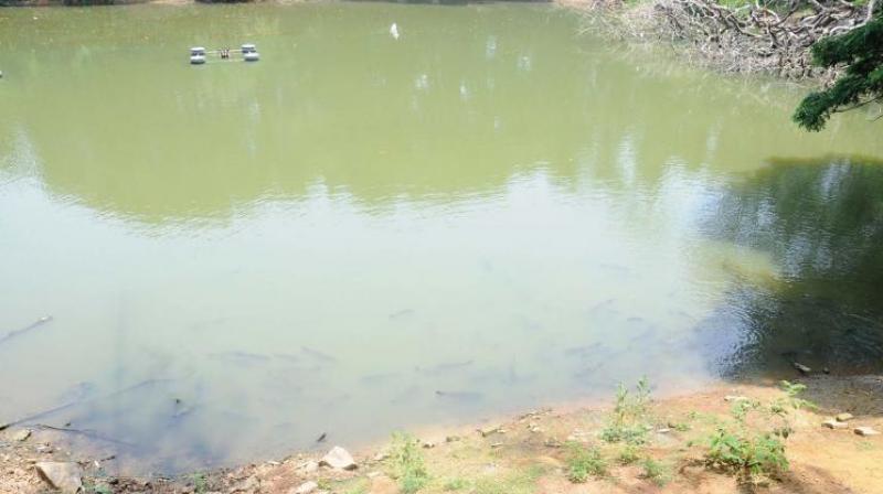 The pond is being designed in the form of a ghat and will have a capacity of 50 lakh litres.  (Representational image)