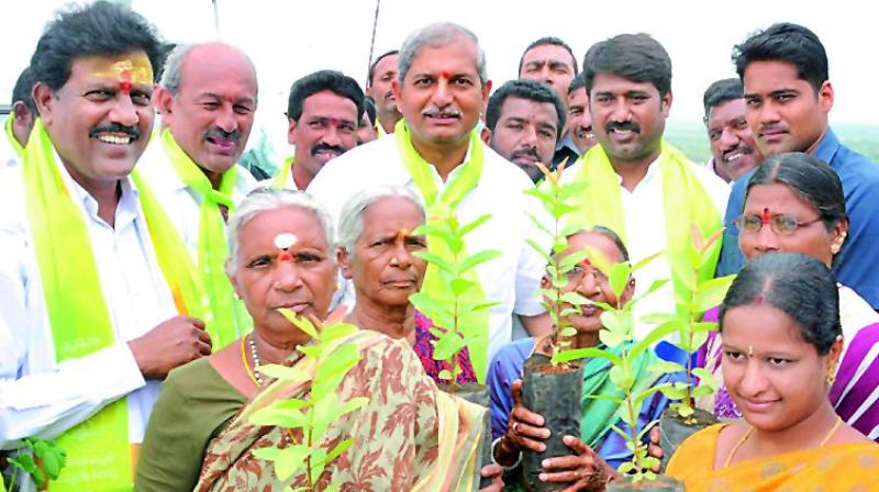 Local MLA Chennamaneni Ramesh and forest officials distributing the Vruksha Prasadam to devotees. (Photo: DC)