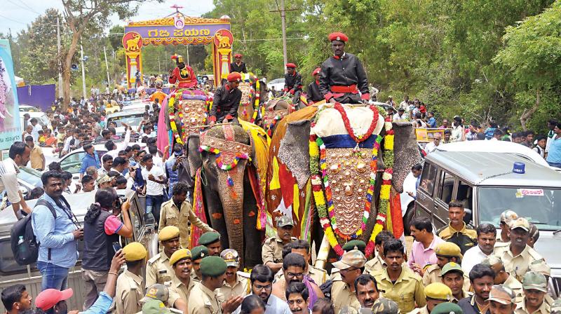 Gajapayana, the journey of first batch of Dasara elephants from their respective forest camps to Mysuru city, began from Veeranahosahalli Gate on the outskirts of Nagarahole Reserve Forest in Hunsur taluk on Saturday morning. (Photo: KPN)