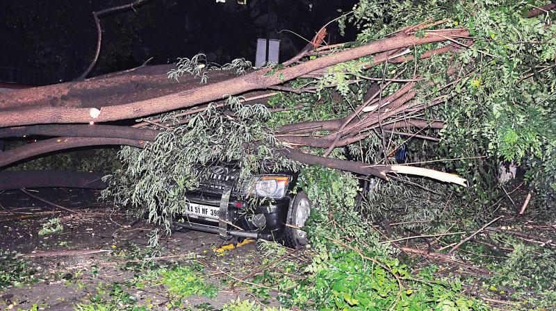 A huge tree fell on a vehicle in front of the DG office on Nrupatunga Road due to heavy rains in Bengaluru on Saturday. The driver and the owner escaped unhurt. (Photo: Satish B)