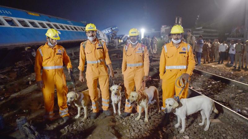 An NDRF team with sniffer dogs near the mangled coaches of the Puri-Haridwar Utkal Express train which derailed at Khatauli near Muzaffarnagar on Saturday. (Photo: PTI)