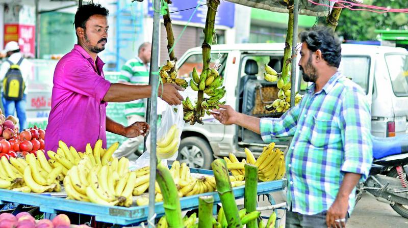 Fruit vendors sell bananas at an all-time high of 100 a dozen in Guntur, in view of the increasing demand due to marriages and festivals. (Photo: DC)