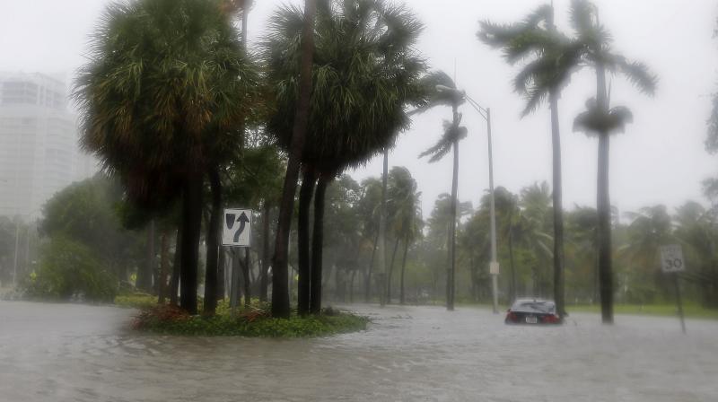 Heavy rains flood the streets in the Coconut Grove area in Miami on Sunday. (Photo: AP)