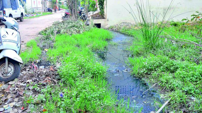 An open drainage at Tulasi Nagar in Vijayawada. (Photo: DC)