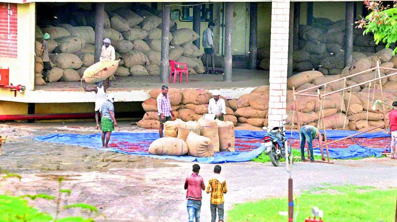 Farmers hoard up 50 lakh chilli bags in cold storages as traders boycott transactions in protest against eNAM at the Guntur chilli market yard. (Photo: DC)