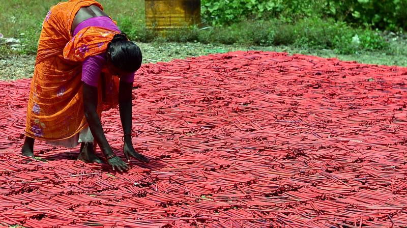 A woman employee drying up crackers at a factory in Sivakasi district in Tamil Nadu. The firecrackers business may be hit by crores due the ban on its sale in Delhi National Capital Region till October 31. (Photo: PTI)