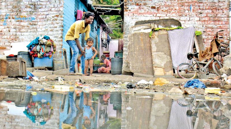 Water stagnation near domestic establishments at S Kuvam river road, behind Rajarathinam stadium in Egmore remains unchecked by authorities despite being a breeding ground of mosquitoes. (Photo: DC)