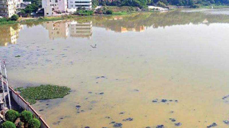 Introduce ecological management of Storm Water Drains and wetlands.